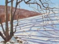 snow-shadows-ii-20x20