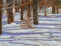 winter-deep-10x20