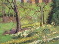 Central Park - Spring