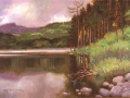 cooper-lake-in-spring