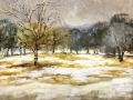 Field in Winter